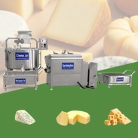 Machine automatique de fabrication de mozzarella de petite taille, pasteurisateur de lait, ligne complète de production de fromage