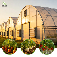 Serres agricoles de grande envergure personnalisées en usine avec plusieurs modes de ventilation et systèmes hydroponiques