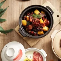 Marmite à soupe japonaise au design moderne Casserole en céramique résistante aux hautes températures pour cuisinière à gaz pour casserole à riz et nouilles