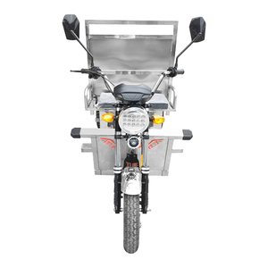 Triciclo de Carga Certificado de 1000w, Vehículo Familiar para Adultos, para Pasajeros, Voltaje de 48v, Certificado por EEC/DOT - Product Image 3