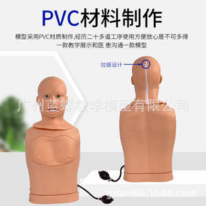 Modèle de soins pour sonde nasogastrique et trachéale ; modèle de sonde nasogastrique ; formation en incision et aspiration ; intubation trachéale ; gastrique - Product Image 3