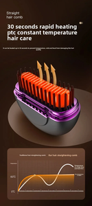 Portable <strong>Hair</strong> <strong>Straightener</strong> Brush with Protective Case <strong>Mini</strong> Heated Straightening Brush for Travel Hot Comb <strong>Straightener</strong> for Women - Product Image 4
