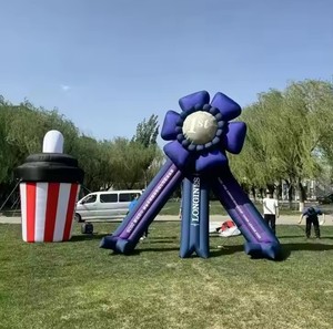 Promotion Exceptionnelle : Ballon Gonflable Géant d'Extérieur en PVC, Étanche et Résistant aux Intempéries, avec Souffleur d'<span class=keywords><strong>Air</strong></span> Intégré, Logo Personnalisable pour une Publicité Facile - Product Image 6