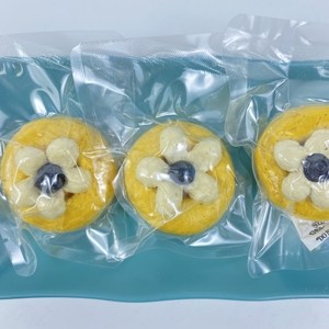 Premium Organic Antioxidant Rich Dental Care Bulk Small Batch Export Quality Healthy Pet Treats Freeze Dried Blueberry Pumpkin - Product Image 3