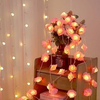 Guirlande lumineuse LED TSINYE 3M 20 LED à piles AA, motif rose, lumières scintillantes/constantes, décoration romantique