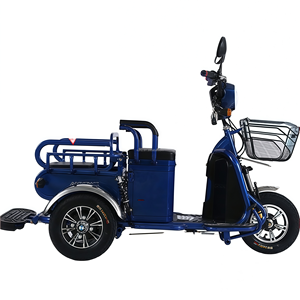 รถสามล้อไฟฟ้า3<span class=keywords><strong>ล้อ</strong></span>สำหรับผู้โดยสาร600W มีหลังคารับการรับรอง CE - Product Image 5