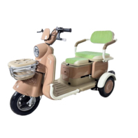 Tricycles électriques haute performance pour adultes, trikes de transport personnel à carrosserie ouverte et stable