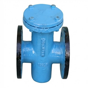 Válvula de Filtración de Agua Industrial con Brida Tipo T de Hierro Fundido Clase 150 con Malla de Acero Inoxidable - Product Image 1