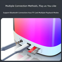 En gros, Mini enceinte karaoké BT 5.1 portable avec poignée, 2 micros, éclairage RGB coloré, compatible Android, son haute fidélité, USB/SD