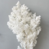 Décoration de mariage, fleurs de pin de Penglai conservées, fleurs d'asperge éternelles pour la décoration de la maison