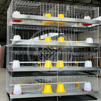 Nouvelle cage d'élevage de type H galvanisée à chaud, 3-4 niveaux, équipement avicole automatique pour poussins d'un jour, de 1 à 110 jours d'âge