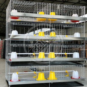 Nuevo Jaula de Cría Tipo H Galvanizada en Caliente de 3-4 Niveles, Equipo Automático para Aves de Corral, para <span class=keywords><strong>Pollitos</strong></span> de un Día, Cría de 1 a 110 Días - Product Image 2