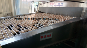 2021热卖自动煮蛋去皮机鸡蛋削皮机 - Product Image 2