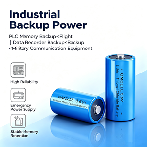 Batterie au lithium jetable ER34615 3.6V 19000mAh en gros pour la surveillance des puits pétroliers, les bouées marines et les détecteurs miniers - Product Image 6