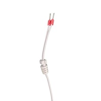 Contrôleur de température direct usine avec sonde de température dédiée 100K, capteur de température thermoplastique