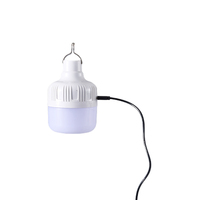 Ampoule solaire LED suspendue rechargeable de haute qualité pour le camping en plein air, éclairage puissant de 10W