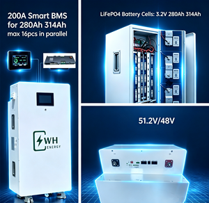 Caja de Batería DIY de 51.2V 280ah 300Ah 314Ah 16kWh, Apta para JK-PB2A16S20P(V19)+ Placa BMS, Pantalla LCD Táctil - Product Image 5