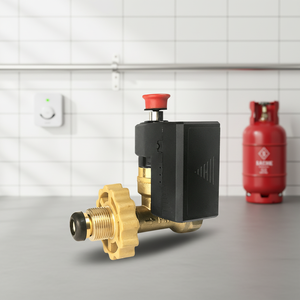 Notfall-Absperrmagnetventile, <span class=keywords><strong>LPG</strong></span>-Gasflaschen-Leckdetektor, Sicherheitsalarmsystem DN15/DN20, Batterie 3,7V - Product Image 5
