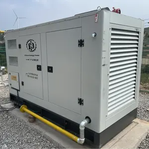 100kW 방수형 천연가스 수냉식 95% 효율 가스 발전기 EFI 발전기 세트 모델 SE100BF 50Hz 230V - Product Image 2