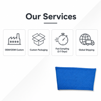 Çift Katmanlı Mop Pedi