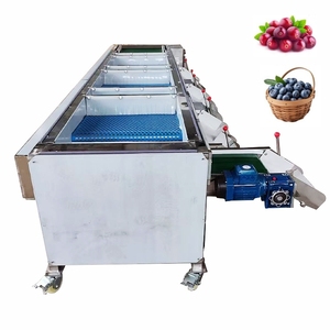 High Efficiency Cherry Blueberry Sorting and Grading Machine <b>Cranberry</b> Peanut Sorter Grader Machine - Product Image 1