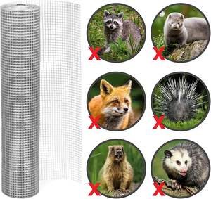 1.2*3m 1/2"-3/4" Aperture Hot Galvanized Iron Welded Metal Wire Mesh Roll Chicken Coop PVC Coated Welded Wire Mesh for <b>Fencing</b> - Product Image 4