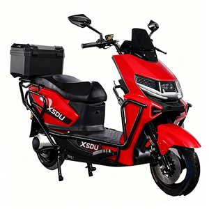 Motociclette Elettriche per Adulti da 750W di Grande Successo con Motore Posteriore da 60V e Batteria Integrata da 15Ah, Tipo Digitale Intelligente e Durevole - Product Image 3