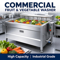 Industriële multifunctionele spuitmachine voor het wassen van groenten en fruit voor de verwerking van groenten en fruit, continu reinigend, voedselveilig.