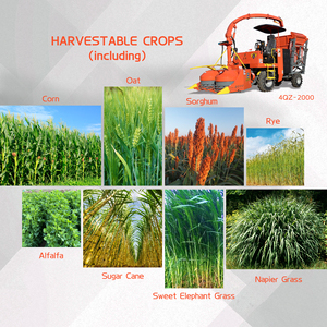 Moissonneuse-batteuse multifonctionnelle à haut rendement pour maïs, <span class=keywords><strong>sorgho</strong></span> et ensilage, avec certification CE - Product Image 3