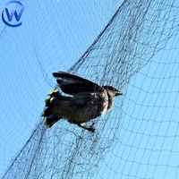 Filet anti-oiseaux 6M x 20M Filet de protection pour oiseaux Pigeon Piège à oiseaux Piège à oiseaux Chasse Caille Moineau Printemps Starling Filet de capture