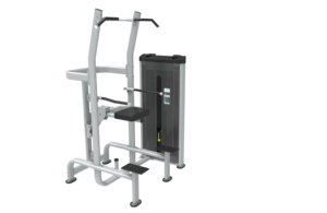 DFT-1909 Promotion <span class=keywords><strong>Appareil</strong></span> de <span class=keywords><strong>musculation</strong></span> assistée par <span class=keywords><strong>poids</strong></span> pour tractions et dips, Équipement de fitness commercial pour salle de sport - Product Image 2