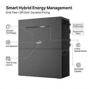 Système de stockage d'énergie domestique tout-en-un TSUN <span class=keywords><strong>TSOL</strong></span>-B4000Lite, batterie au phosphate de fer et de lithium empilable 300Ah 51.2V 2-10kW hybride - Product Image 4
