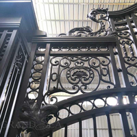 Porte d'entrée en fer forgé de style européen moderne pour jardin