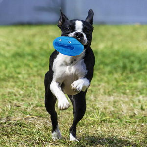 Jouets à mâcher pour chien de haute qualité, indestructibles, en caoutchouc naturel, qui couinent, pour nettoyer les dents et favoriser la mastication, jouets pour animaux de compagnie - Product Image 3