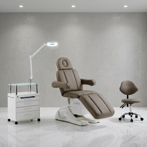 Table de soin électrique pour le visage avec oreiller amovible, coque en ABS, surface en contreplaqué, pour salon de beauté et spa - Product Image 1