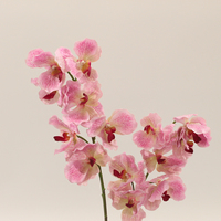 JWS3687 Nouveau Design Orchidée Artificielle Fleur Plante Orchidée Artificielle Intérieur Salon Décoration Plantes Plantes En Pot
