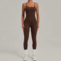 Aoyema Vêtements de sport Logo personnalisé Sexy Women Gym Fitness Wear One Piece Sleeveless High Elastic One Piece Yogo Running Jumpsuits