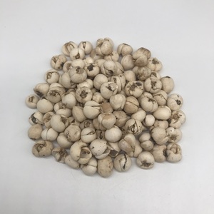 Bulbo de Fritillaria Chuan Seco, Crudo y Natural, Hierba Calmante para los Pulmones, en Rodajas, para Té Herbal Individual, Empaque Personalizado - Product Image 3