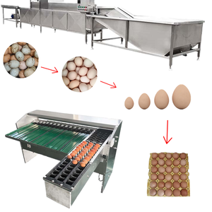 Machine de traitement des œufs à commande PLC, laveuse et nettoyeuse d'œufs automatique à haute efficacité pour le lavage et le nettoyage des œufs frais de ferme - Product Image 5