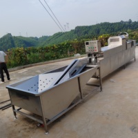 Ligne de production industrielle automatique pour le lavage, le nettoyage, le tri, l'inspection, le codage et la calibrage par poids des œufs frais