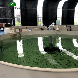 GT acquaponica sistemi di coltivazione pannelli solari serra acquacoltura serra commerciale per i pesci - Product Image 6