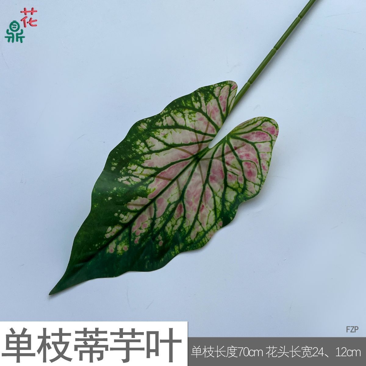 Feuille de taro à tige unique FZP rose noyau vert