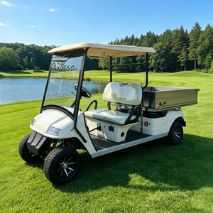 Voitures de golf électriques personnalisées, 2 places, véhicule chinois pas cher - Product Image 5