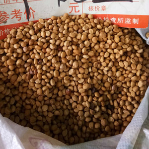 Die da Dou <span class=keywords><strong>Ipomoea</strong></span> turbinata clavo de olor natural crudo seco <span class=keywords><strong>Ipomoea</strong></span> turbinata frijoles para hierba - Product Image 3