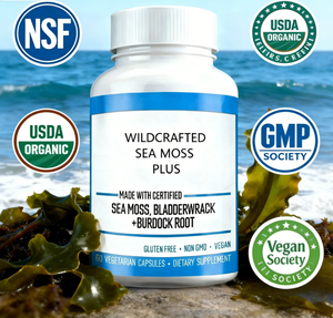 Sea Moss Capsules with Bladderwrack Burdock <strong>Muira</strong> <strong>Puama</strong> | Immune &amp; Gut Health Support Supplement - Product Image 6