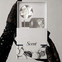 Ausziehbare Griff-Aromatherapie-Geschenkbox EVA Maßgefertigte Kosmetik-Aufbewahrung Damen-Parfüm Papier-Karton Mini-Party-Geschenkbox Beutel