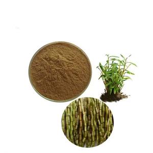 덴드로비움 칸디둠 추출물 분말 덴드로비움 칸디둠 추출물 덴드로비움 다당류 8% 10:1 20:1 - Product Image 1