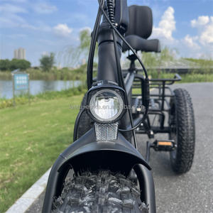 Vente en gros de tricycles électriques à <span class=keywords><strong>3</strong></span> <span class=keywords><strong>roues</strong></span> 350w transportant des vélos cargo électriques de l'usine directe de Chine - Product Image 6