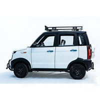 Voiture électrique miniature durable pour usage familial, série BAIMA Raptor, pour adultes, faible vitesse, déplacement urbain, fabriquée en Chine, moteur 60V 2-4KW, 5 portes