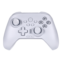 Control de Juego con Doble Sensor de Movimiento y Motores Dobles para Vibración, Correa Programable con Luces RGB para NS/PC/Android